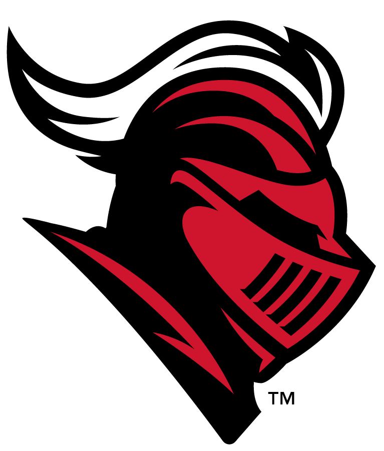 Rutgers Scarlet Knights 2016-Pres Secondary Logo DIY iron on transfer (heat transfer)